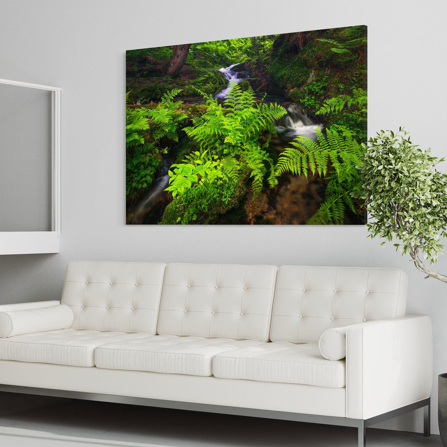 Mountain Ferns