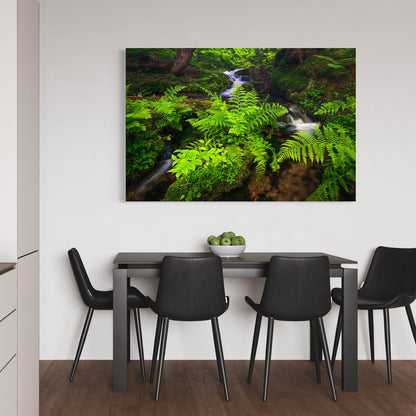 Mountain Ferns