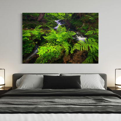 Mountain Ferns