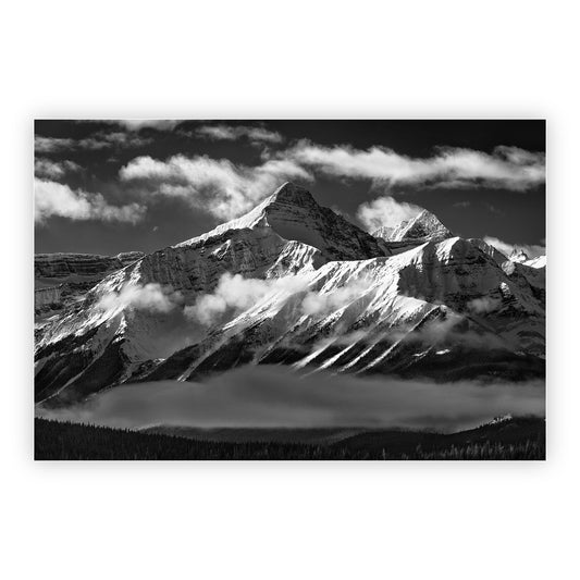 Mt. Erasmus Monochrome