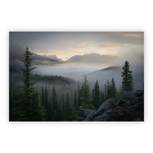 Mist in Grizzly Valley